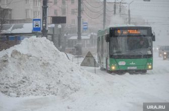 снегопад в Ишиме