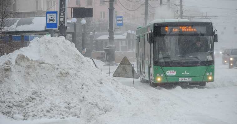 снегопад в Ишиме