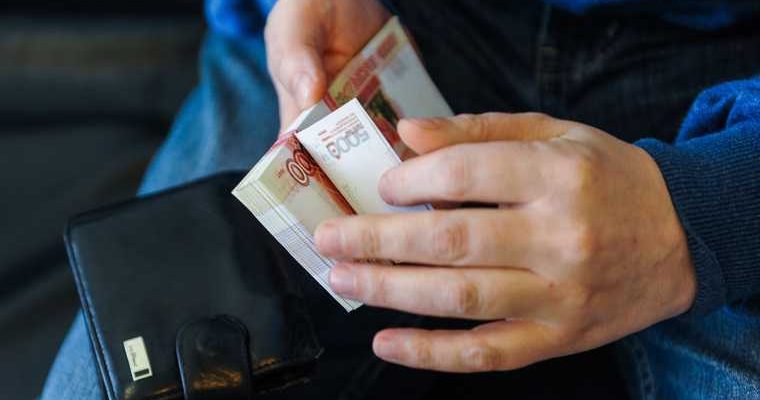 Единая Россия законопроект гарантированный доход должники