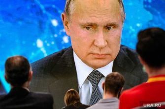 медведев дмитрий спит деятельность