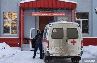 коронавирус Курганская область