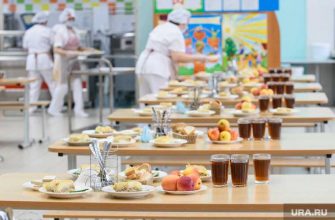 школьное питание