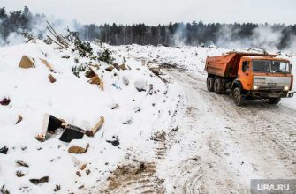 Мерзлякова омбудсмен Свердловская область