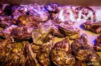 Единая Россия отмена экспертиза морепродукты