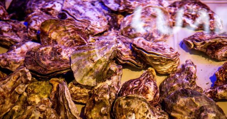 Единая Россия отмена экспертиза морепродукты