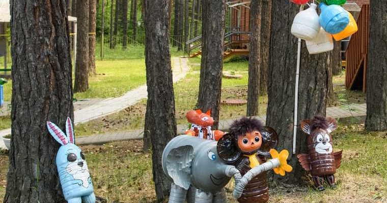 Челябинская область дети лагеря путевка купить