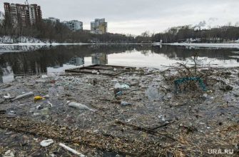 мусор в городском пруду Екатеринбурга фото