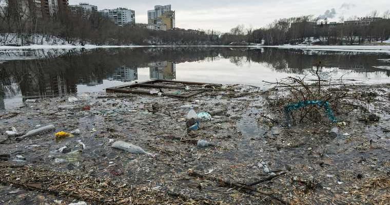 мусор в городском пруду Екатеринбурга фото