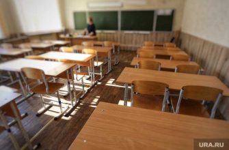 строительство школ