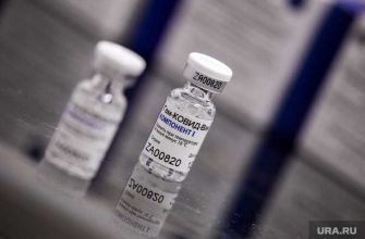 Коронавирус ковид мурашко спутник v воз