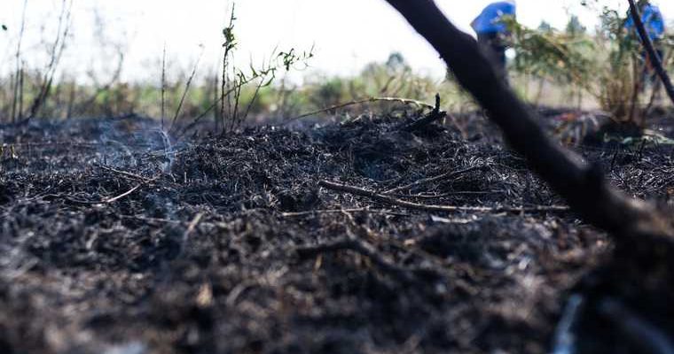 незаконная добыча торфа чиновники Артемовский Свердловская область