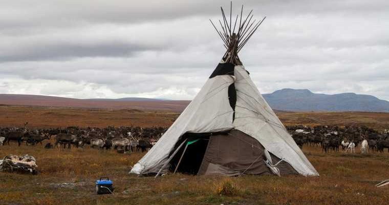 Аборигены ЯНАО рискуют остаться без льгот