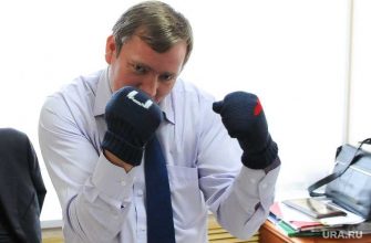 Челябинск омбудсмен Севастьянов уголовное дело коровы мошенничество возобновили