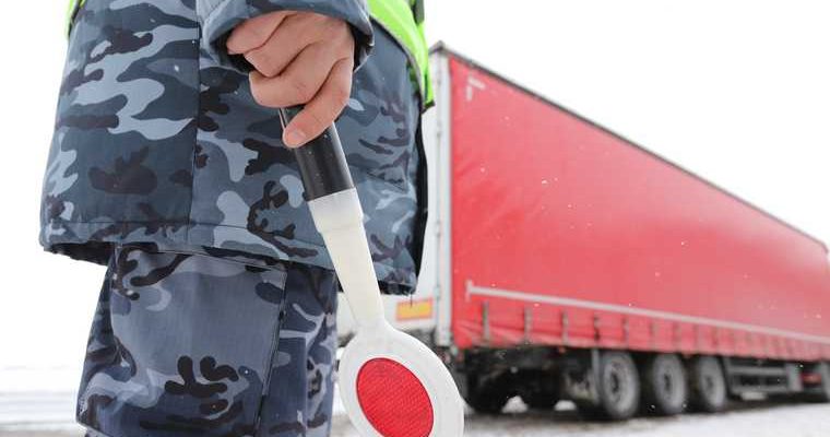 контрафакт Курганская область