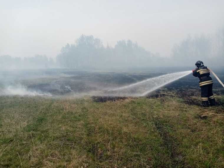 Пожар приближается к двум поселкам в Курганской области. Фото