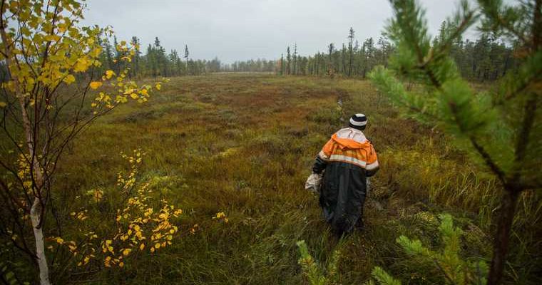 пропал врач