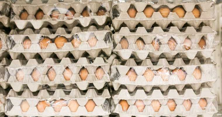 куриные яйца цены снижение