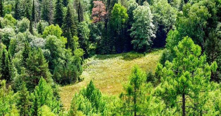 база отдыха в Омске