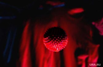 иммунитет к ковиду