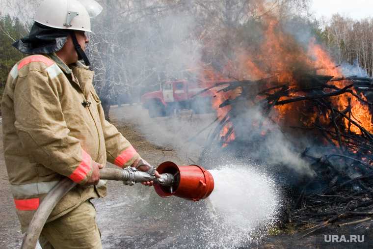 лесные пожары Тюменская область