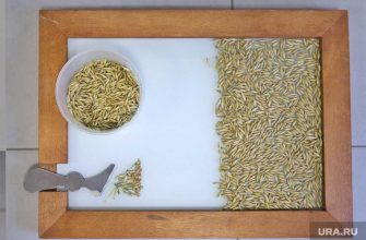 юрий чайка владимир путин экономика