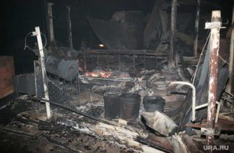 авиалесоохрана