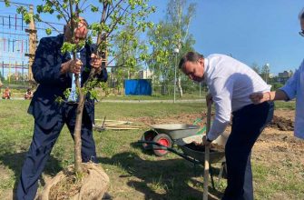 Аллея династий Владислав Пинаев Нижний Тагил Свердловская область