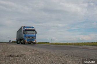 погибло животное