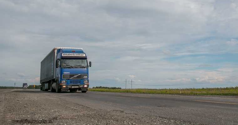 погибло животное