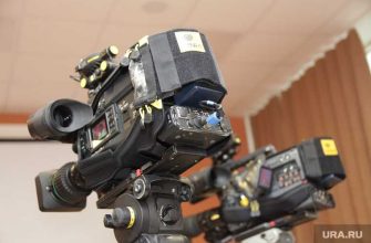 журналисты