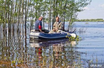 новости хмао осудят рыбаков обвинили за вылов редких пород рыбы возместят ущерб поймали браконьеров
