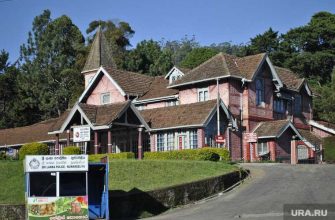 запреты чиновникам