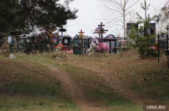 Курганский вандал