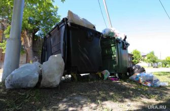 регоператор чистый город