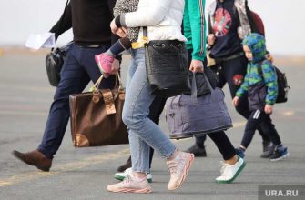 Сергей Кривоносов