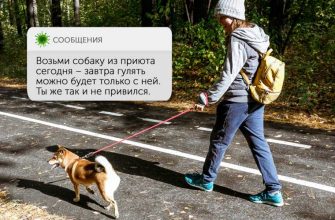 Алексей Орлов