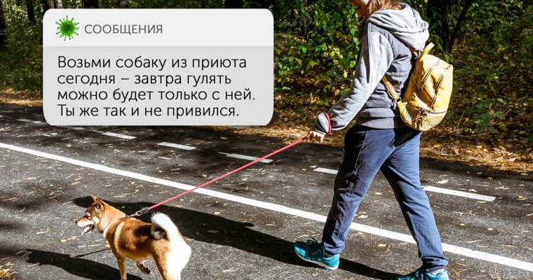 Алексей Орлов