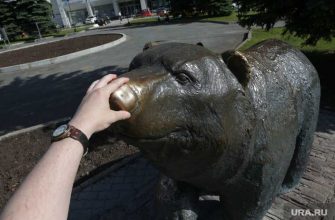 памятник медведю узкая улочка туризм