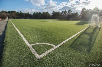 профессиональная футбольная лига