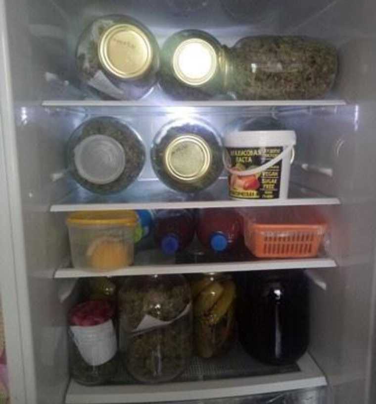 конопли холодильник