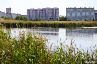 расчистка русла