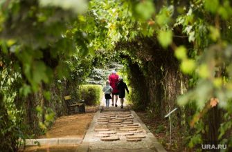 отменить маткапитал Россия Анатолий Аксаков россияне соцсети зачем