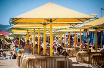 Выборы югорские политики летние отпуска