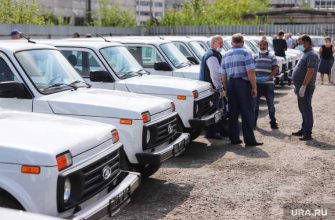 Курганские медики