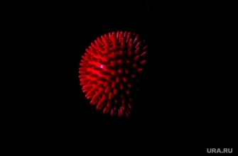 коронавирус