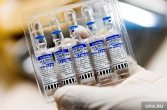 Крутень Анастасия