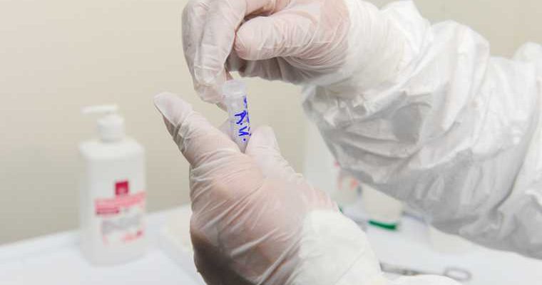 поддельные справки