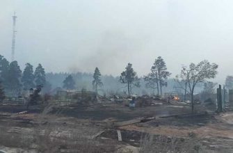 карталинский район