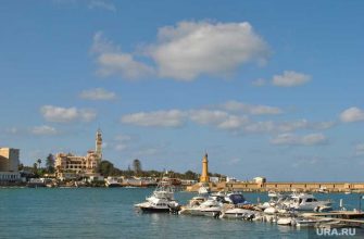 Путин чартеры в Египет разрешили