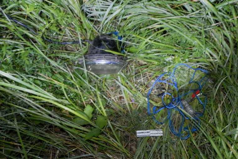 Челябинца поймали на незаконной охоте в Курганской области. Фото